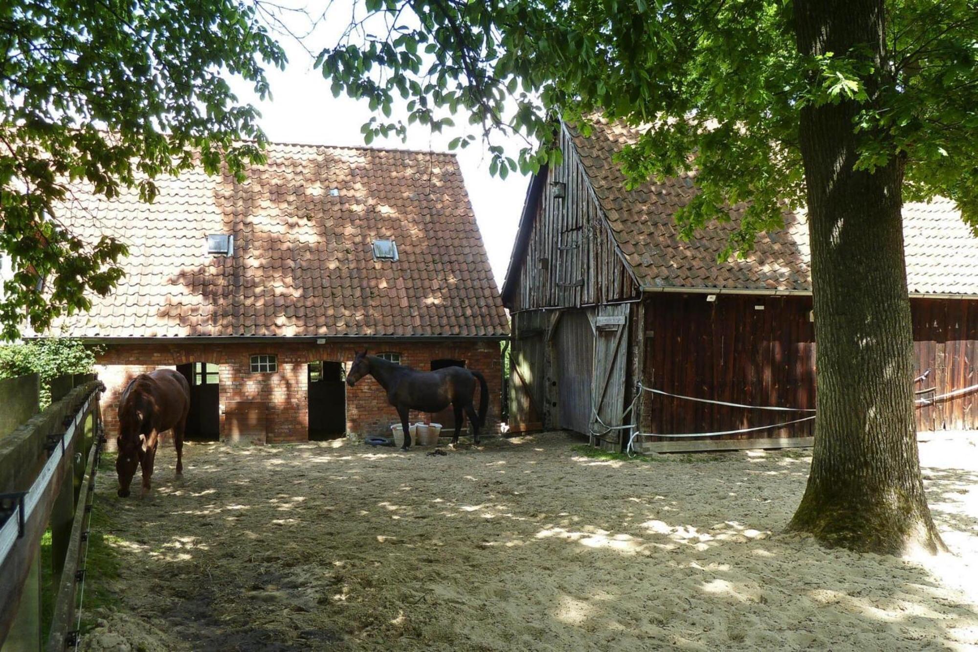 Ferienwohnung In Dorfmark Exterior photo